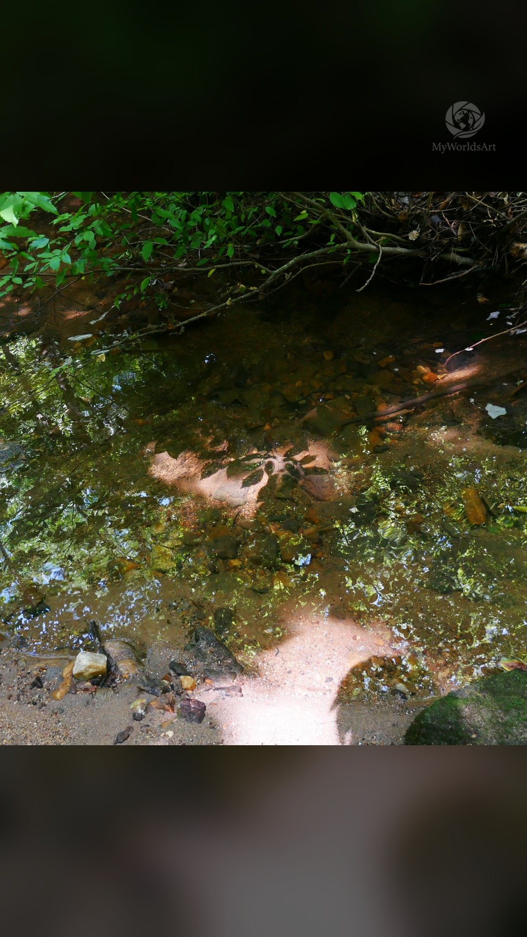 Creek photos (3 of 9)