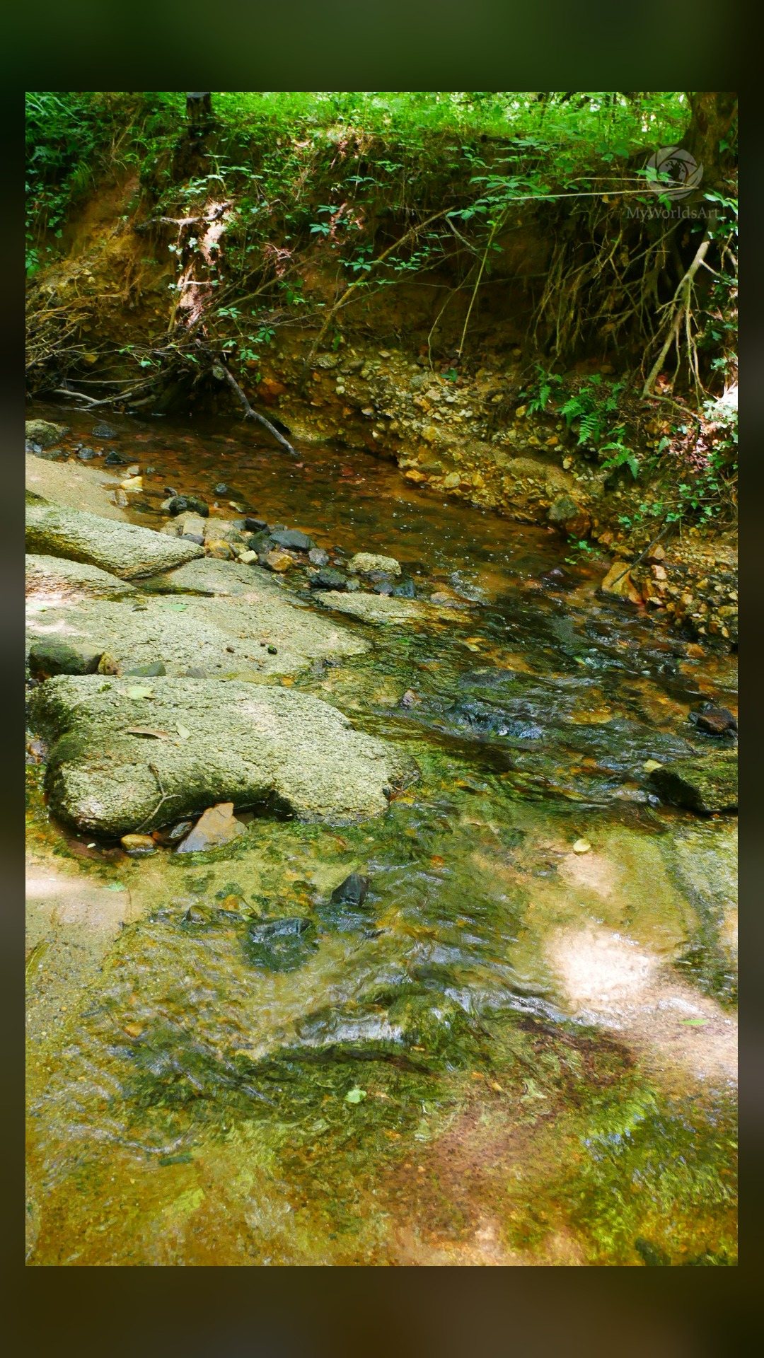 Creek photos (4 of 9)