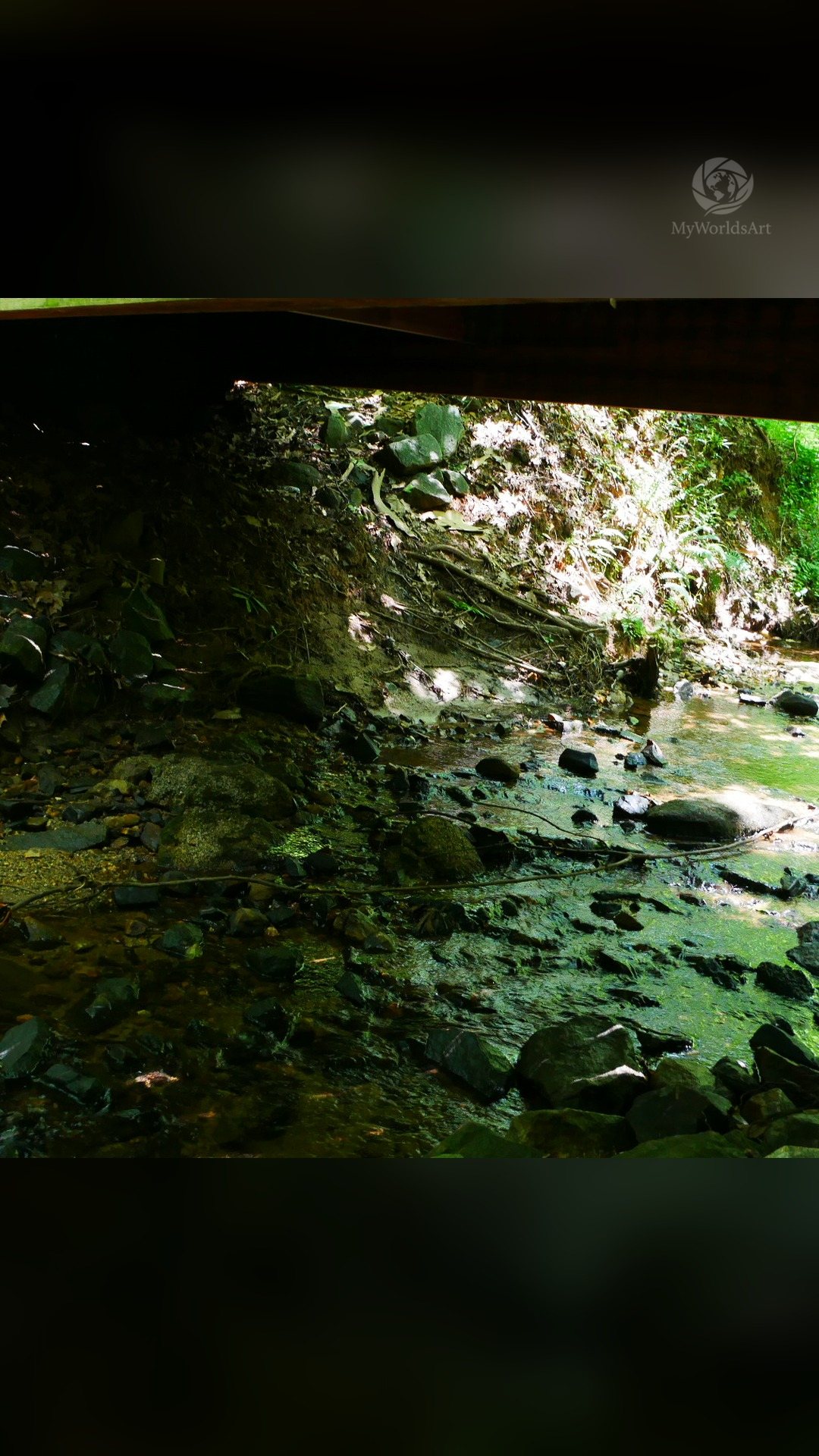 Creek photos (5 of 9)