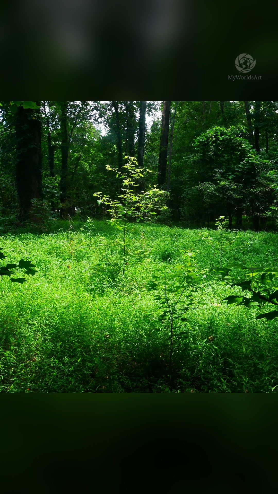 Creek photos (7 of 9)