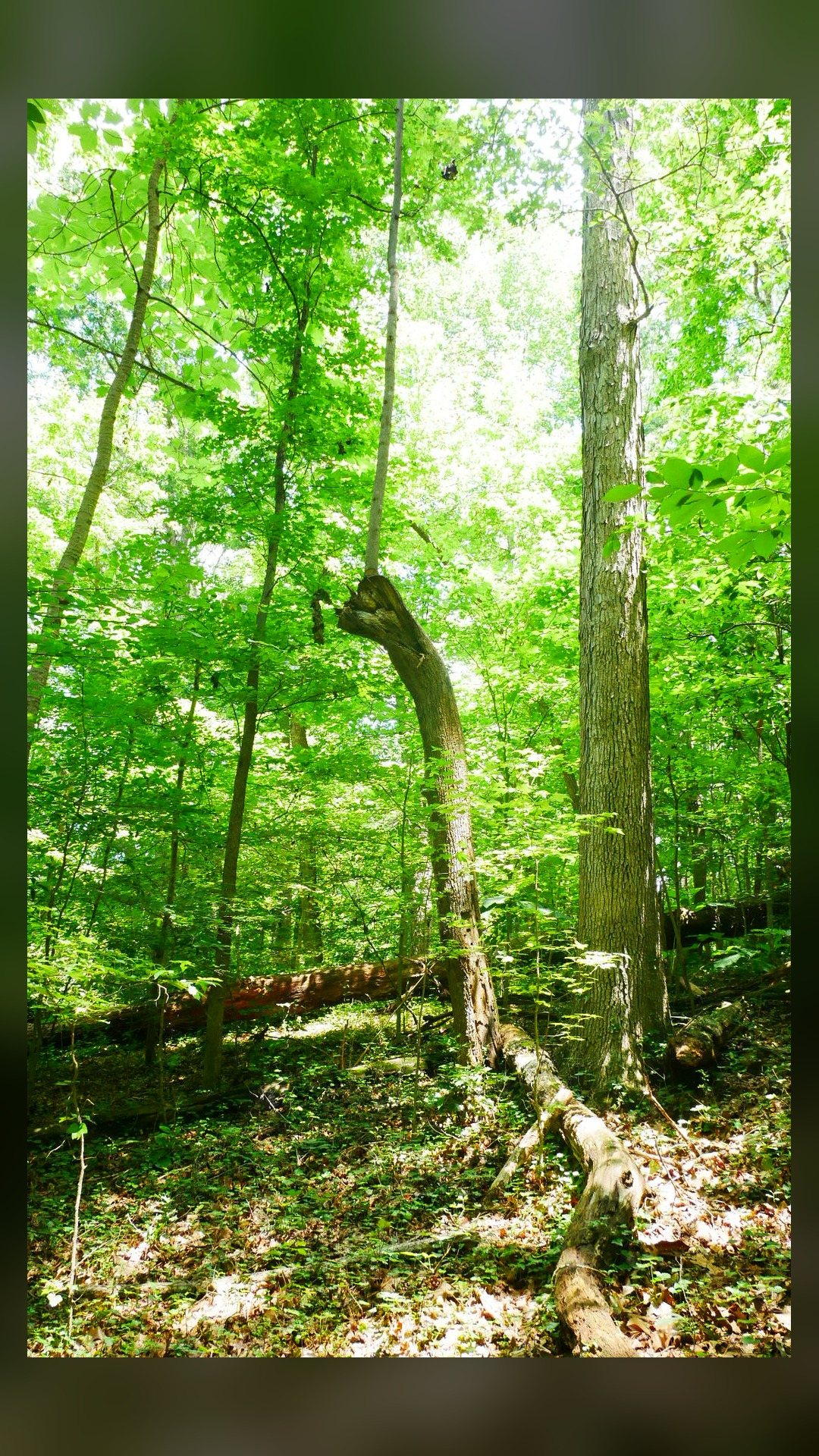 Creek photos (8 of 9)