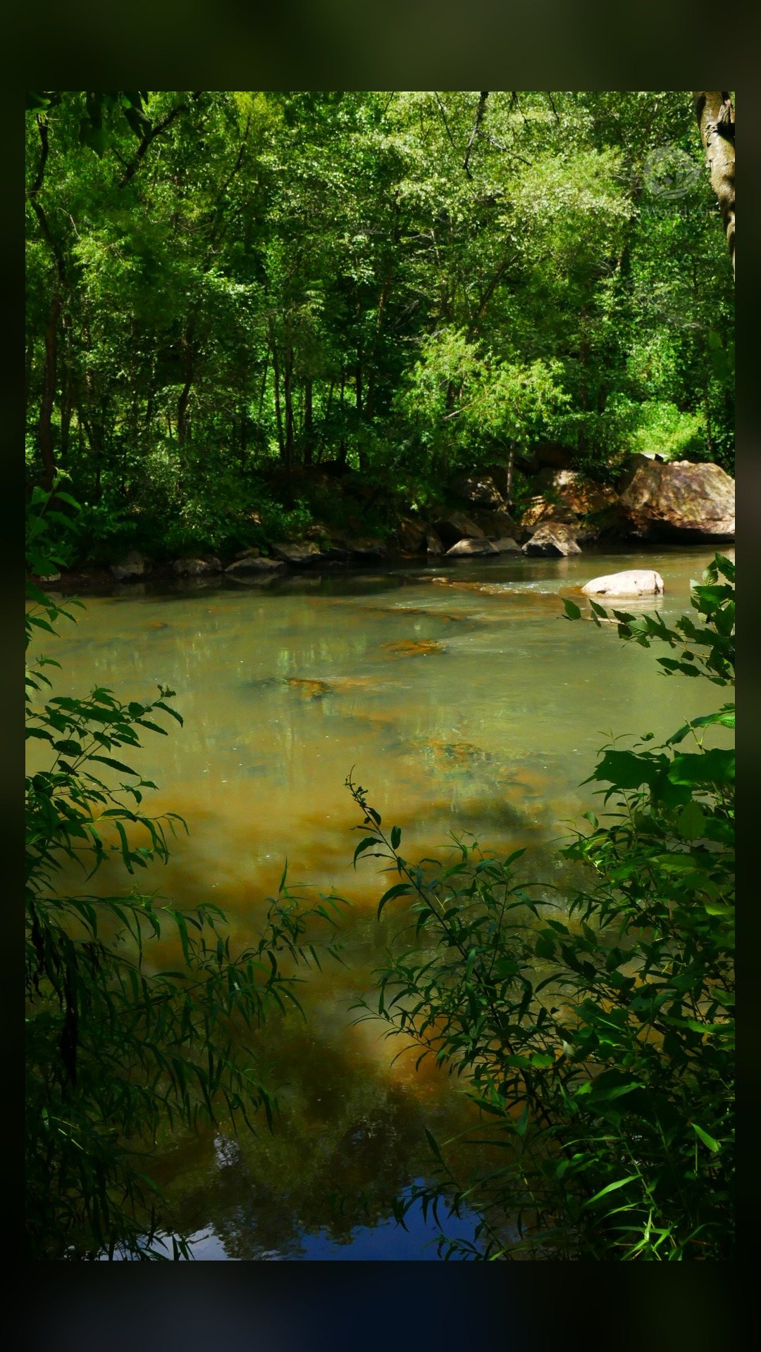 River photos (2 of 5)