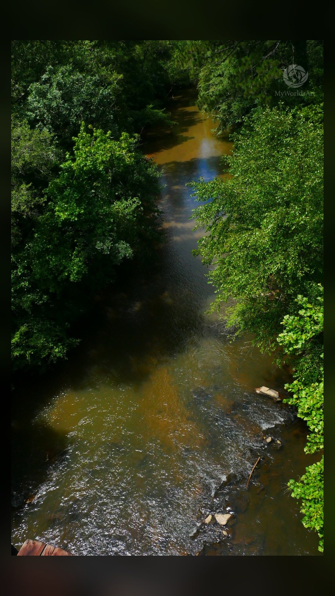 River photos (4 of 5)