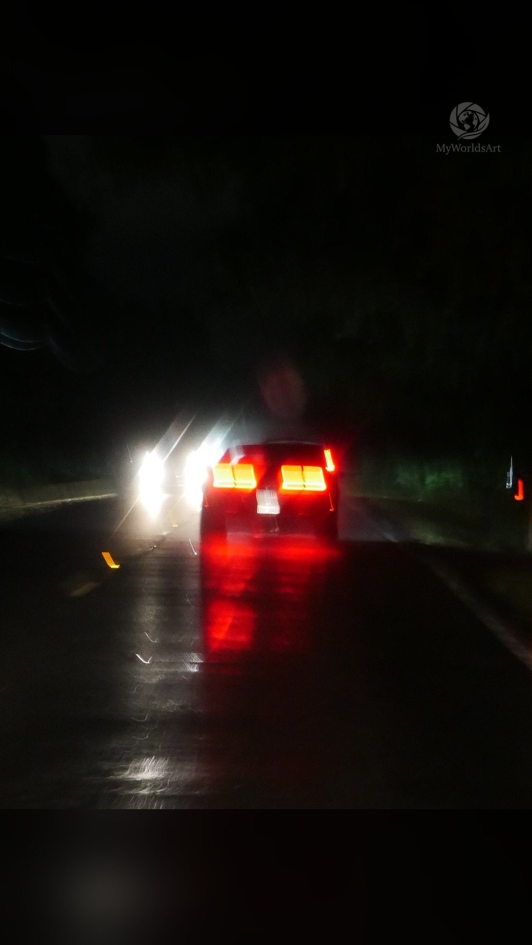 Tail lights on a wet road