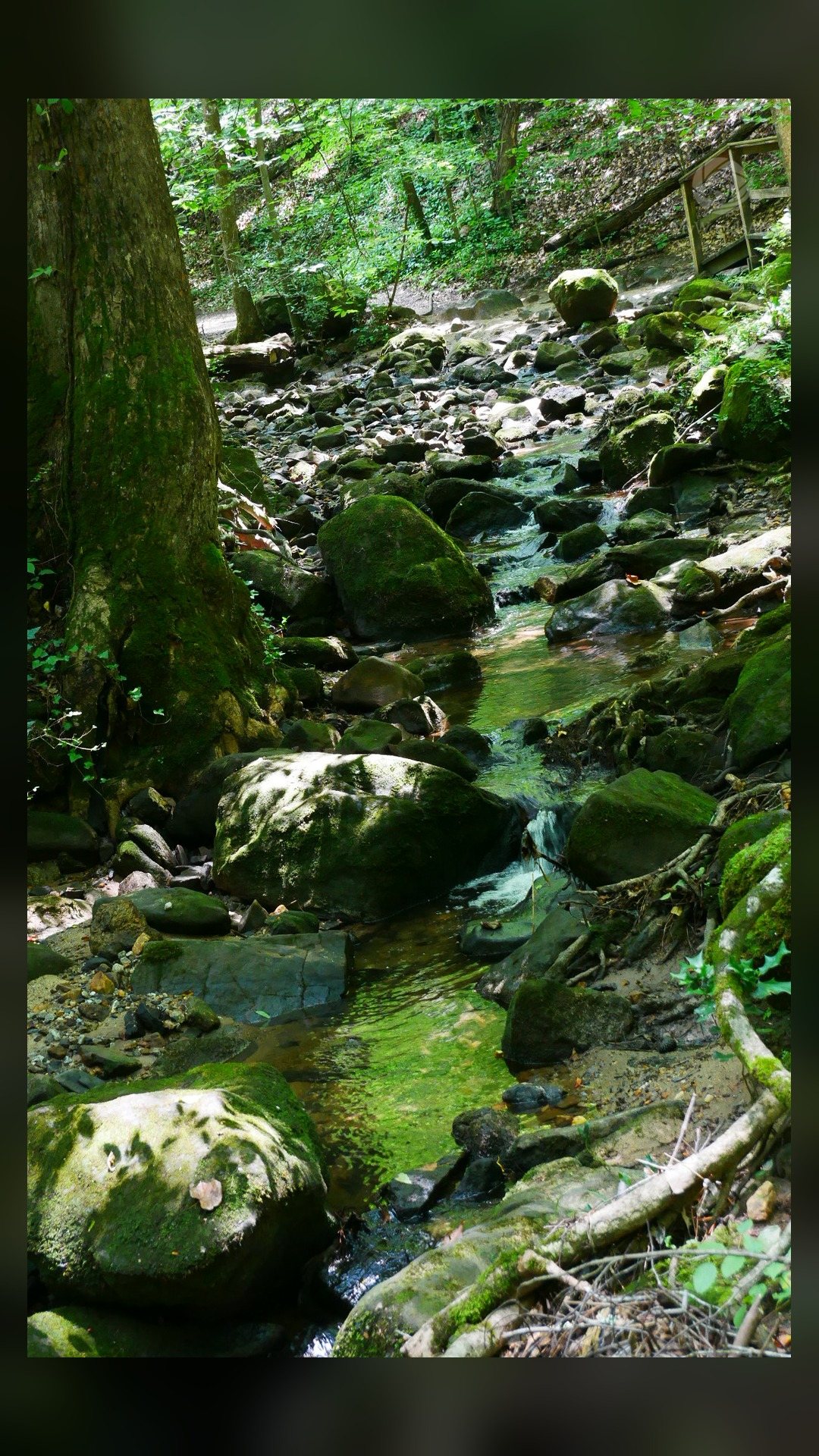 Rocky creek