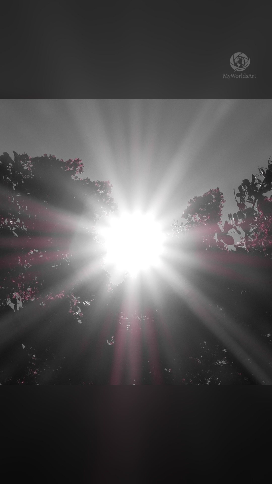 Sunstar in black and white